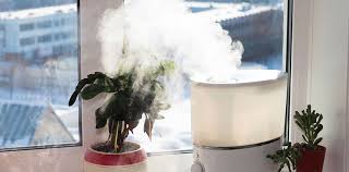 humidifier reviews