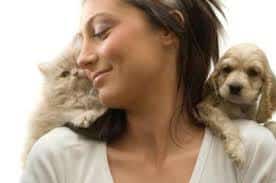 Dealing with Pet Allergies – Guide And Treatment