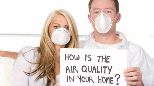 natural ways to purify home air