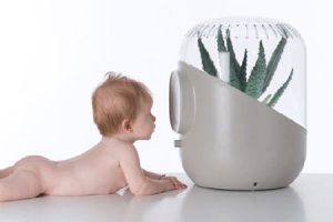 Best Humidifier for Babies Reviews