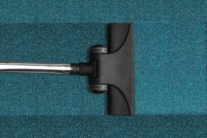 steam mop options for cleaning carpet