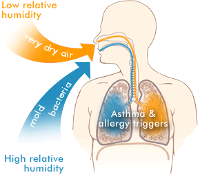 how low humidity Stress the lungs